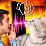 cat translator - translate cat android application logo